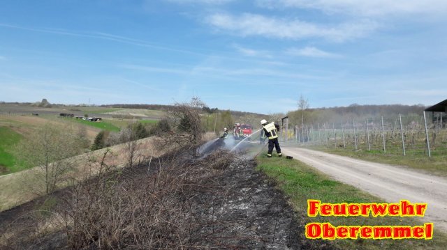 Flaechenbrand_Wiltingen_31_03_17 (3)